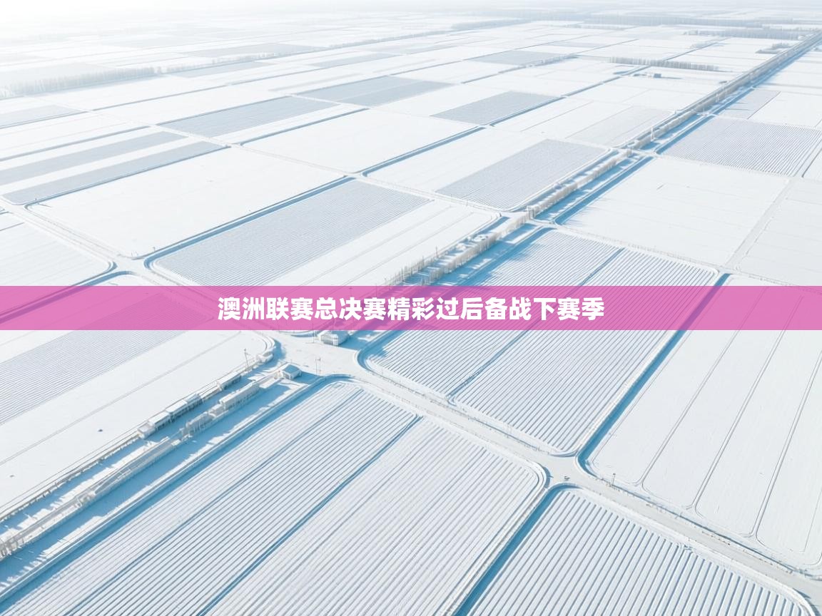 爱游戏娱乐平台-澳洲联赛总决赛精彩过后备战下赛季  第3张