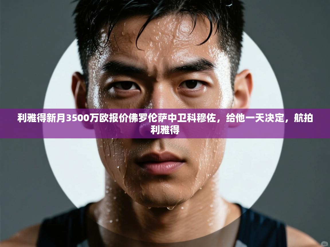 爱游戏娱乐平台信誉好16-利雅得新月3500万欧报价佛罗伦萨中卫科穆佐,给他一天决定,航拍利雅得 第2张