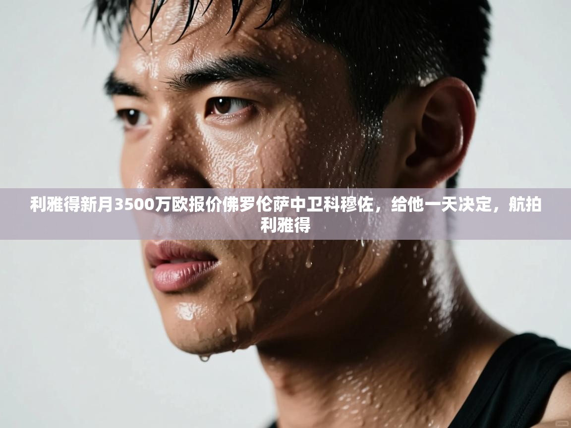 爱游戏娱乐平台信誉好16-利雅得新月3500万欧报价佛罗伦萨中卫科穆佐,给他一天决定,航拍利雅得 第3张