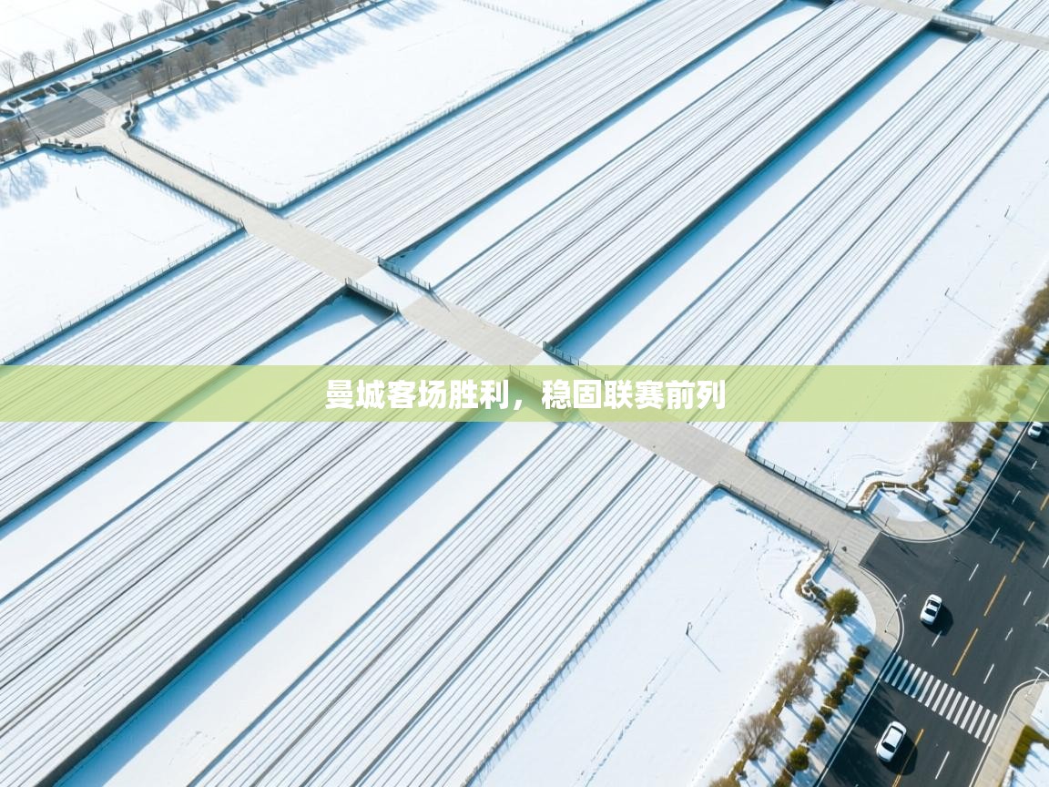 爱游戏体育在线app-曼城客场胜利，稳固联赛前列  第3张