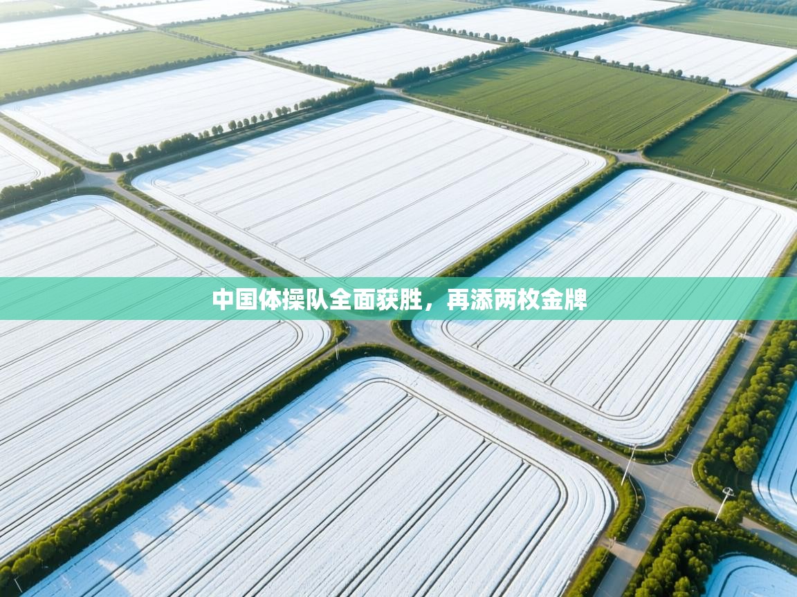 爱游体育直播app-中国体操队全面获胜，再添两枚金牌  第1张