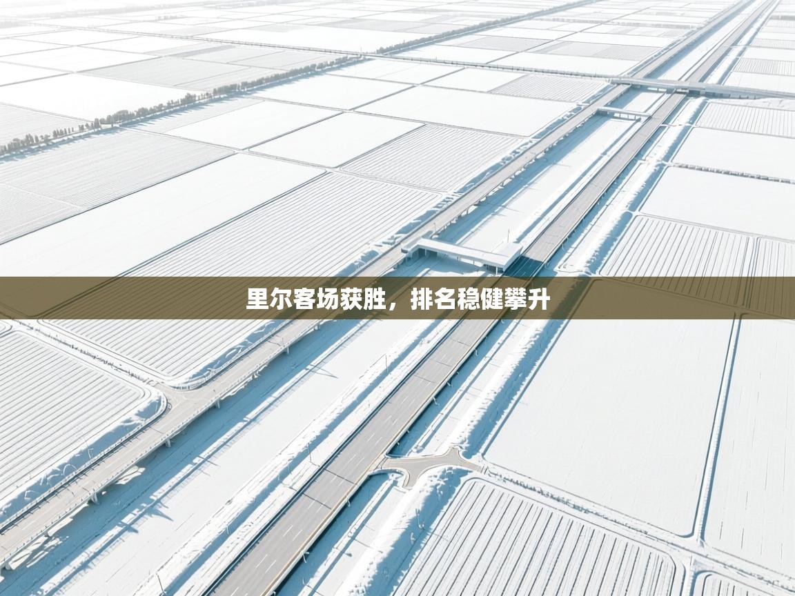 爱游戏厅下载-里尔客场获胜，排名稳健攀升  第3张