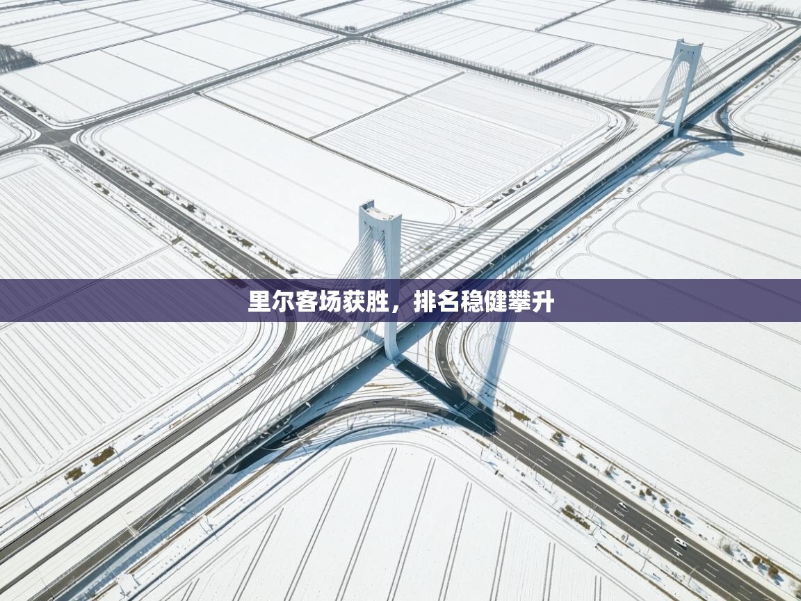 爱游戏厅下载-里尔客场获胜，排名稳健攀升  第4张