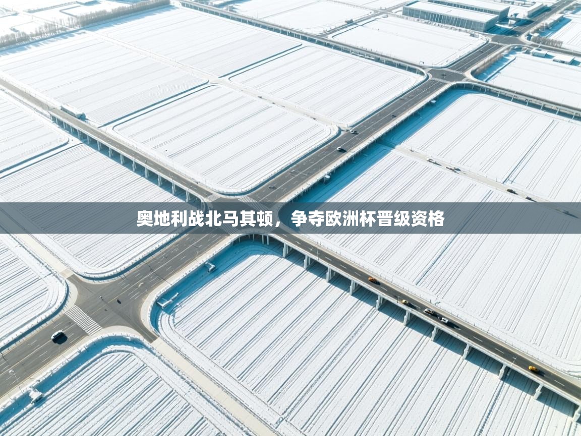 爱游戏娱乐网址-奥地利战北马其顿，争夺欧洲杯晋级资格  第4张