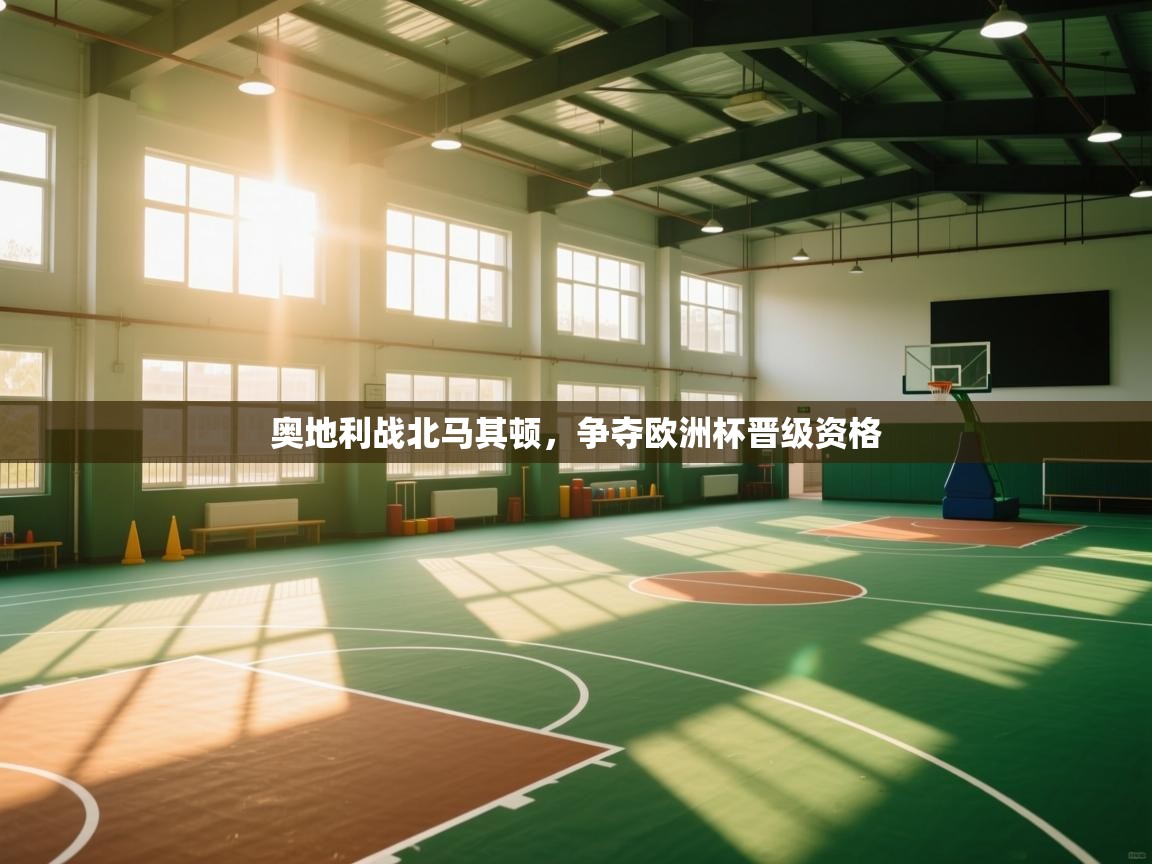 爱游戏娱乐网址-奥地利战北马其顿，争夺欧洲杯晋级资格  第2张