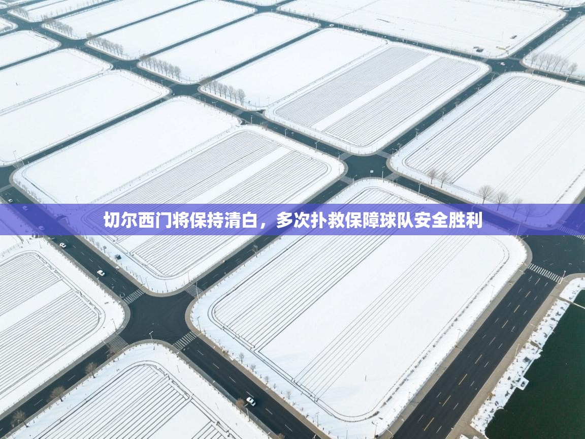 爱游戏娱乐平台信誉好16-切尔西门将保持清白,多次扑救保障球队安全胜利 第3张