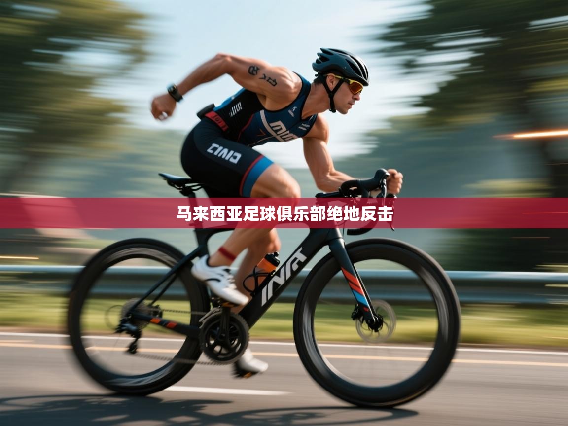 爱游戏娱乐网址-马来西亚足球俱乐部绝地反击  第3张