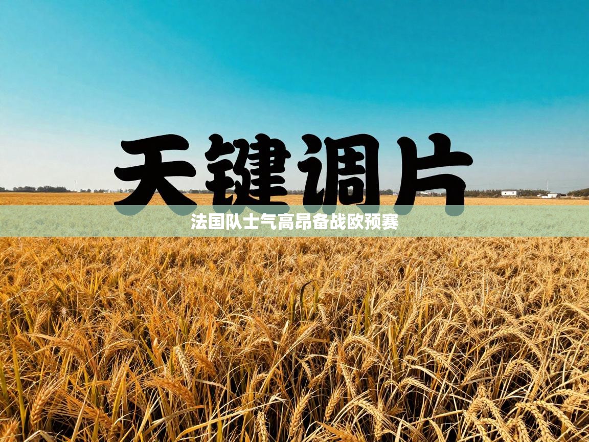 爱游戏体育入口app-法国队士气高昂备战欧预赛 第3张