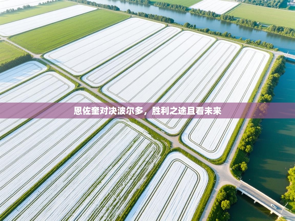 爱游戏体育官网app-恩佐奎对决波尔多，胜利之途且看未来  第3张