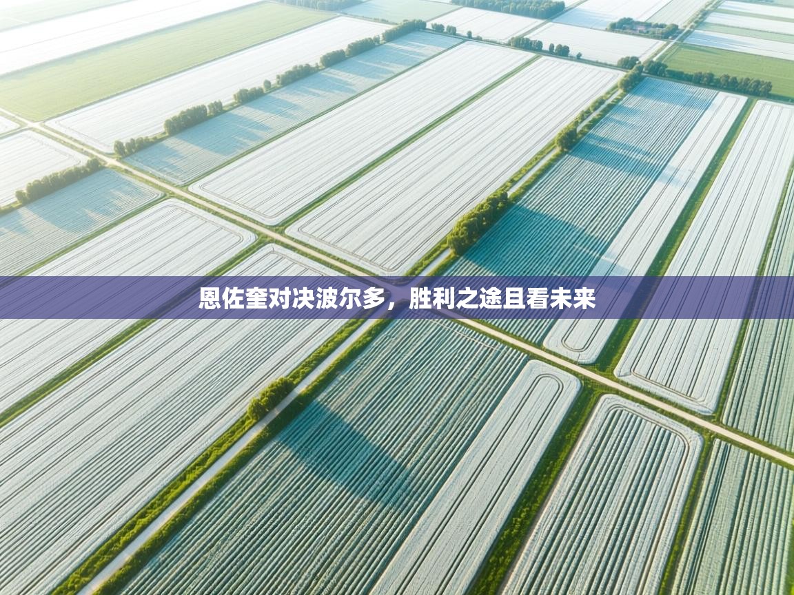 爱游戏体育官网app-恩佐奎对决波尔多，胜利之途且看未来  第4张