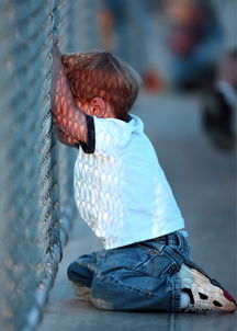 爱游戏直播-意甲比赛再掀关注高潮,球迷热情不减 第3张